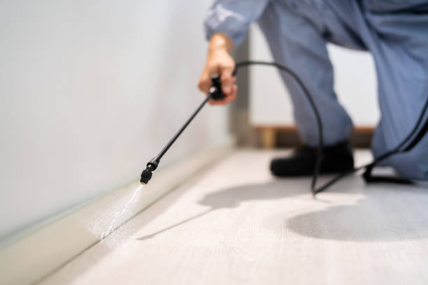 Licensed Pest Control service in Myrtle Grove, NC - Show Me Pest Control