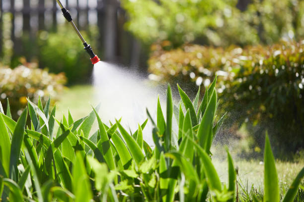 Tamper-Resistant Bait Stations for Rodents in Myrtle Grove