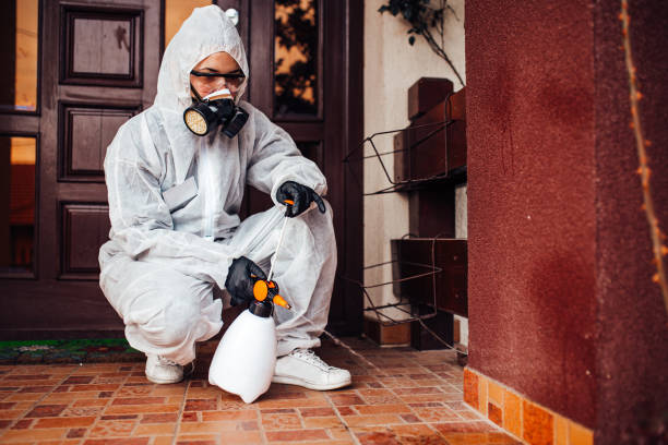 Attic and Crawl Space Rodent Treatment in Myrtle Grove