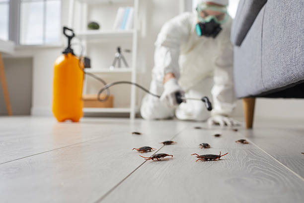Commercial Rodent Management in Myrtle Grove